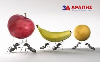 Μυρμήγκια: ο ανεπιθύμητος επισκέπτης σας!