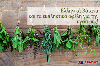 Ελληνικά Βότανα και τα εκπληκτικά οφέλη για την  υγεία μας!
